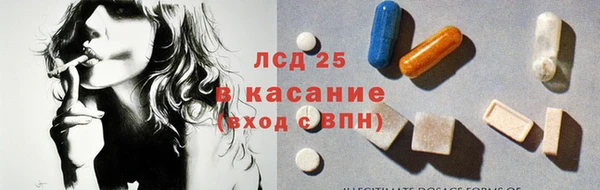 ГАЛЛЮЦИНОГЕННЫЕ ГРИБЫ Бородино