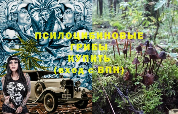 мет Богородск
