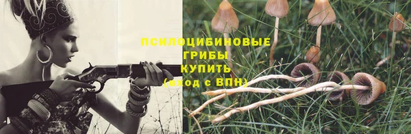 твердый Богданович