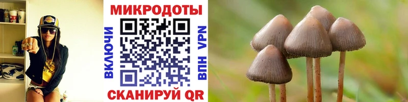Псилоцибиновые грибы Magic Shrooms  Энем 